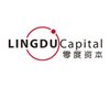 零度资本 LingDu Capital